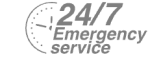 24/7 Emergency Service Pest Control in Feltham, Hanworth, TW13. Call Now! 020 8166 9746