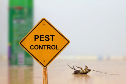 Pest Contol in Feltham, Hanworth, TW13. Call Now 020 8166 9746